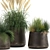 Exotic Plant Collection with Metal Pots 3D model small image 4