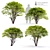 Eastern Redbud - 4 Stunning models 3D model small image 1