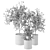 Versatile Indoor Plants Collection 3D model small image 6