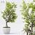 Exquisite Indoor Plant Decor 3D model small image 1