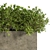 Concrete Box Outdoor Tree - 2015 3D model small image 3