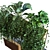 Lush Greenery Box Set 3D model small image 4