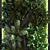 Green Oasis Wall Set 3D model small image 5