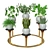 Versatile Indoor Plants: 2013 Edition 3D model small image 1