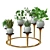 Versatile Indoor Plants: 2013 Edition 3D model small image 2