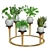 Versatile Indoor Plants: 2013 Edition 3D model small image 3