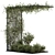 Evergreen Garden Set - Ivy & Bush 3D model small image 1