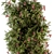 Lush Outdoor Hanging Plants - Set of 202 3D model small image 3