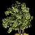Premium Plant Collection Vol. 153 3D model small image 2