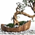 Artistic Bonsai Plant Sculpture 3D model small image 3