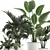 Tropical Plant Collection in White Pots 3D model small image 3