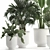 Tropical Plant Collection in White Pots 3D model small image 4