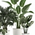 Tropical Plant Collection in White Pots 3D model small image 5