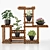 5 Indoor Plant Set 3D model small image 8