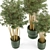 Rustic Bamboo Indoor Plants - Set 108 3D model small image 3