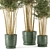 Rustic Bamboo Indoor Plants - Set 108 3D model small image 5