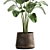 Tropical Plant Collection in Artisan Iron Pot 3D model small image 2