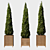 Elegant Cypress Tree 2015: 245cm x 62cm x 265cm 3D model small image 1