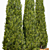 Elegant Cypress Tree 2015: 245cm x 62cm x 265cm 3D model small image 2