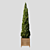 Elegant Cypress Tree 2015: 245cm x 62cm x 265cm 3D model small image 3