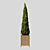 Elegant Cypress Tree 2015: 245cm x 62cm x 265cm 3D model small image 4