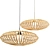 Elegant Anya Pendant Lamp 3D model small image 1