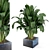 Exquisite Indoor Plant Collection 3D model small image 2