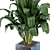 Exquisite Indoor Plant Collection 3D model small image 3