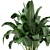 Exquisite Indoor Plant Collection 3D model small image 4