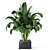 Exquisite Indoor Plant Collection 3D model small image 5