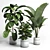 Modern Concrete Vase with Indoor Plant 3D model small image 1