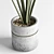Modern Concrete Vase with Indoor Plant 3D model small image 4