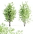 Beautiful Amelanchier Tree Duo 3D model small image 1