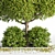 Outdoor Oasis Tree: Natural Beauty for Your Space 3D model small image 2