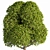 Outdoor Oasis Tree: Natural Beauty for Your Space 3D model small image 3