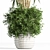 Modern Concrete Binjamin: Indoor Plant 3D model small image 3