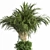 Modern Concrete Binjamin: Indoor Plant 3D model small image 4