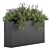 Lush Lavender Plant Box Set 3D model small image 1