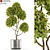 Exquisite Greenery Collection 3D model small image 1