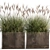Exotic Plant Collection: Decorative Grasses, Reeds & More 3D model small image 3