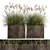 Exotic Plant Collection: Decorative Grasses, Reeds & More 3D model small image 5