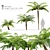 Tall Tree Fern Set 3D model small image 1