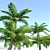 Tall Tree Fern Set 3D model small image 2