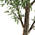 Tall Ash Tree - 12M Height 3D model small image 3