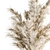 Pampas Bliss - Dried Delight! 3D model small image 2