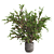 Tall Jade Plant: Lush and Lifelike 3D model small image 1