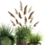 Exotic Plant Collection - Reclaimed Iron Pots 3D model small image 3