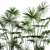 Tropical Palm Collection: Exotic Indoor & Outdoor Plants 3D model small image 3