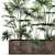 Tropical Palm Collection: Exotic Indoor & Outdoor Plants 3D model small image 4