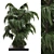 Outdoor Palm Tree in Wood Pot 3D model small image 2